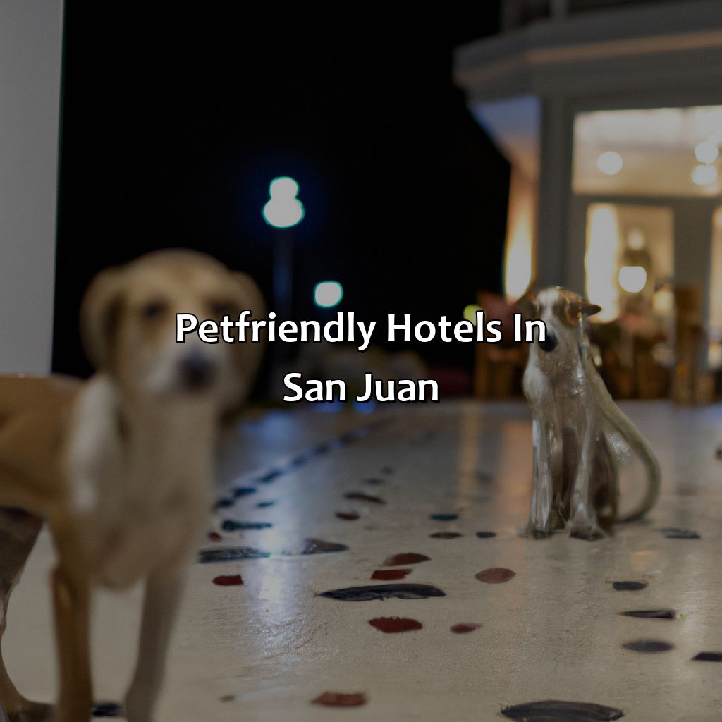 Pet-Friendly Hotels in San Juan-pet friendly hotels in san juan puerto rico, 