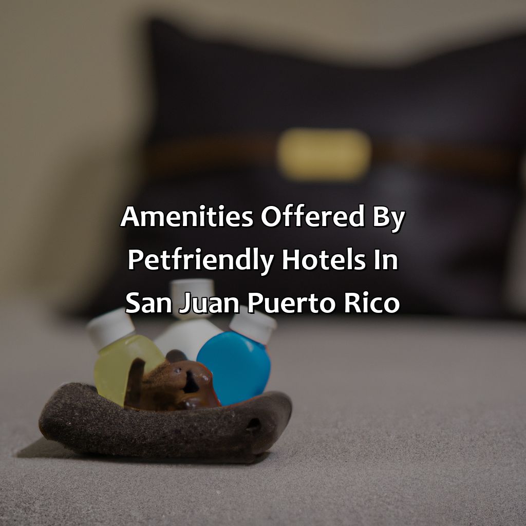 Amenities Offered by Pet-Friendly Hotels in San Juan, Puerto Rico-pet friendly hotels san juan puerto rico, 