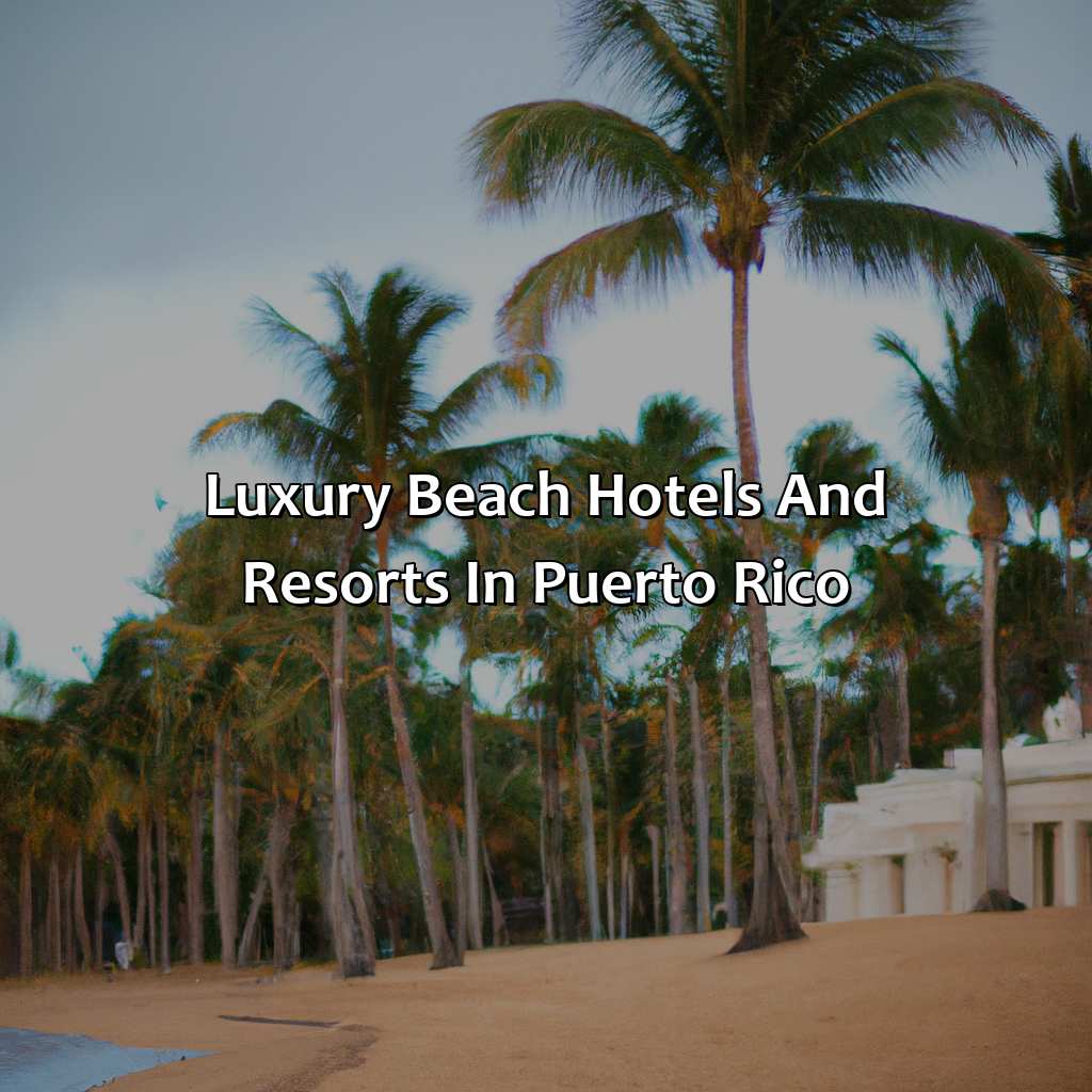 Luxury Beach Hotels and Resorts in Puerto Rico-puerto rico best hotels beach, 
