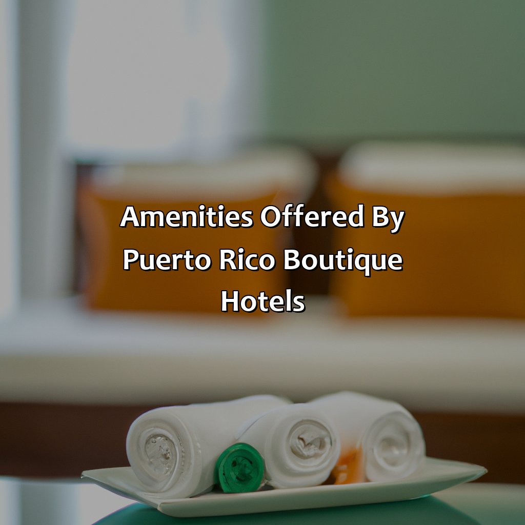 Amenities offered by Puerto Rico Boutique Hotels-puerto rico boutique hotels, 