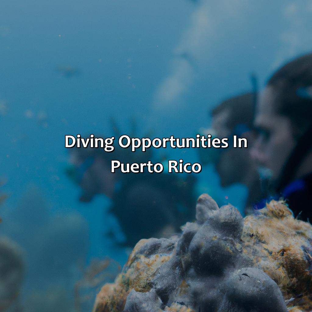 Diving Opportunities in Puerto Rico-puerto rico dive resorts, 