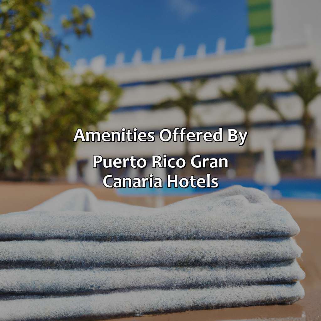 Amenities Offered by Puerto Rico Gran Canaria Hotels-puerto rico gran canaria hotels, 