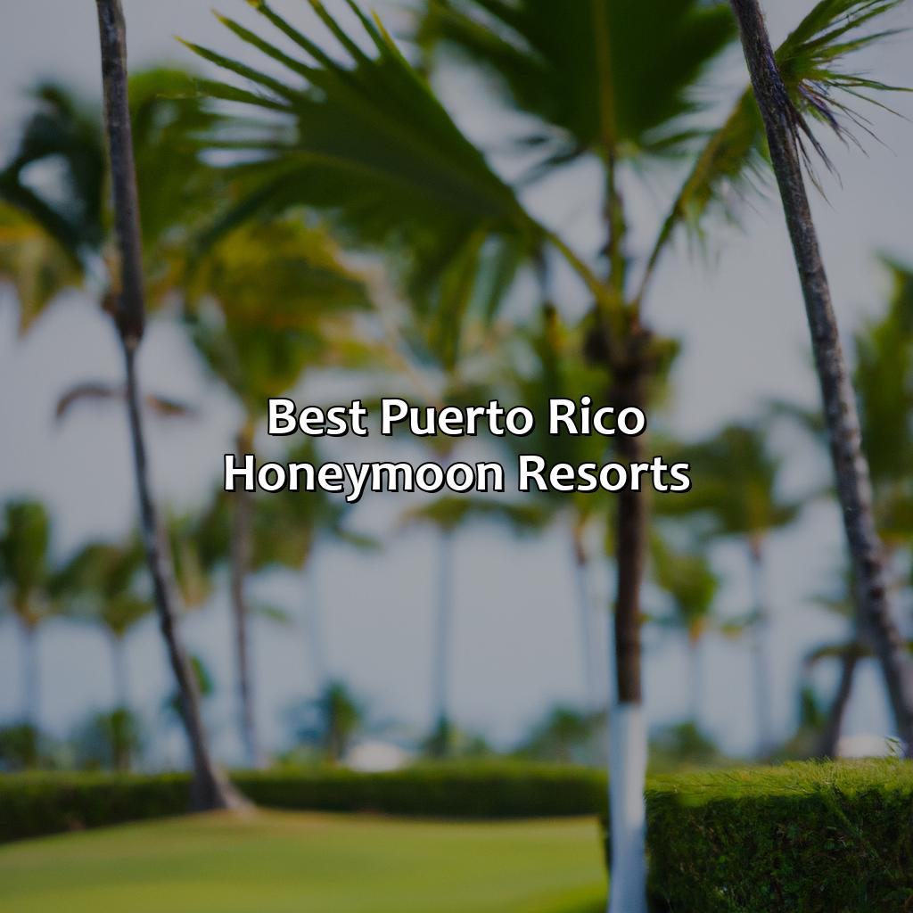Best Puerto Rico Honeymoon Resorts Krug 2023