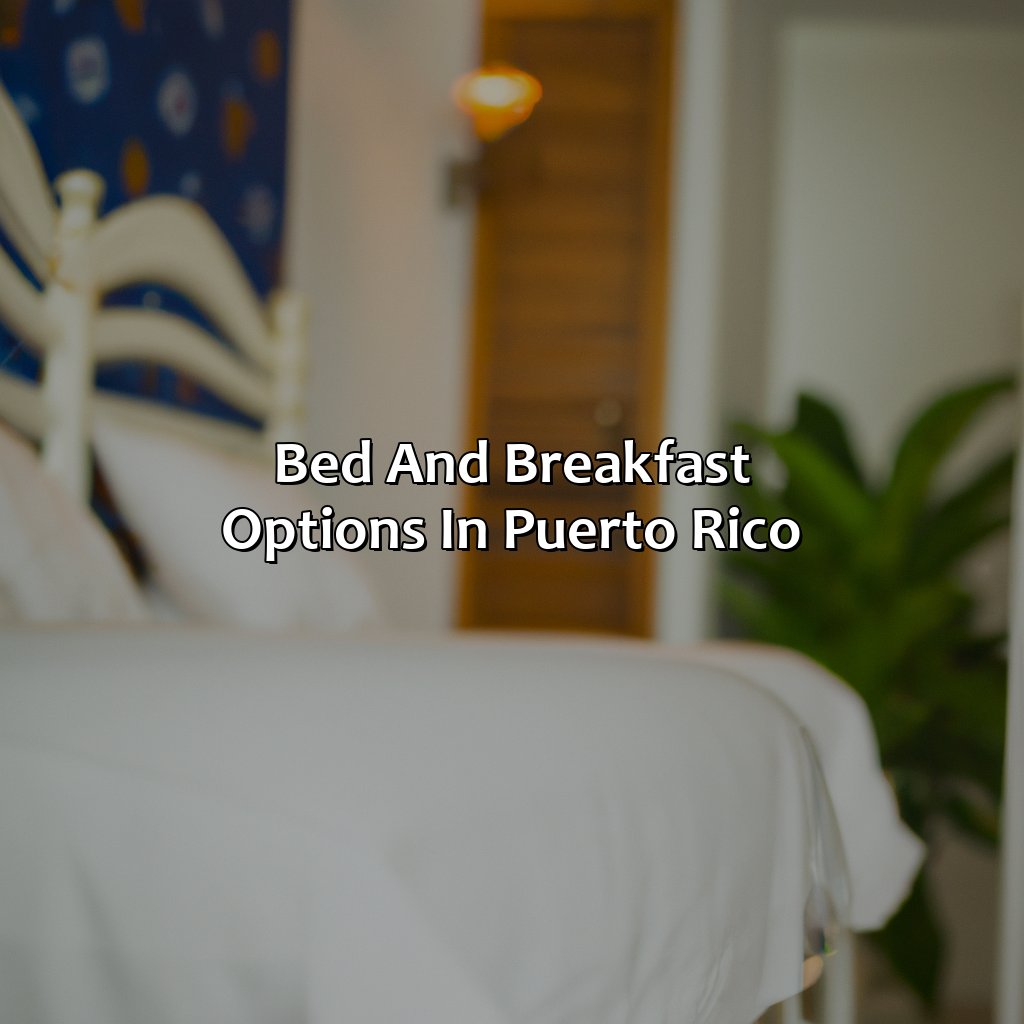 Bed and Breakfast Options in Puerto Rico-puerto rico hotels cheap, 