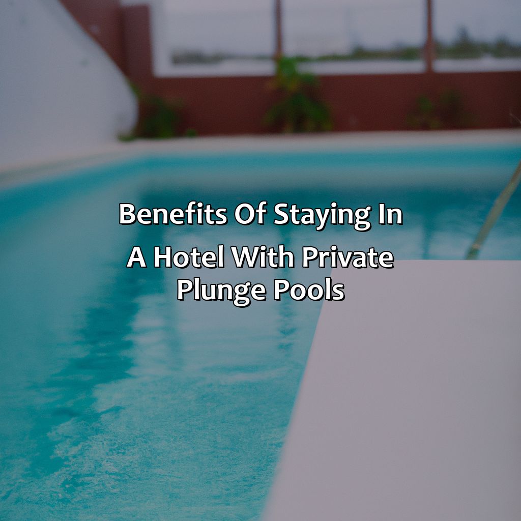 Benefits of Staying in a Hotel with Private Plunge Pools-puerto rico hotels with private plunge pools, 