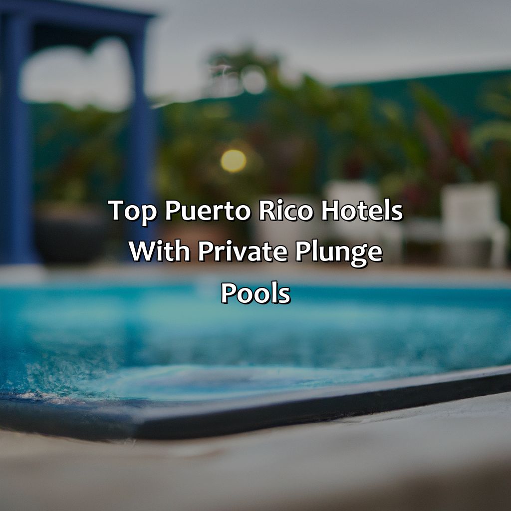 Top Puerto Rico Hotels with Private Plunge Pools-puerto rico hotels with private plunge pools, 