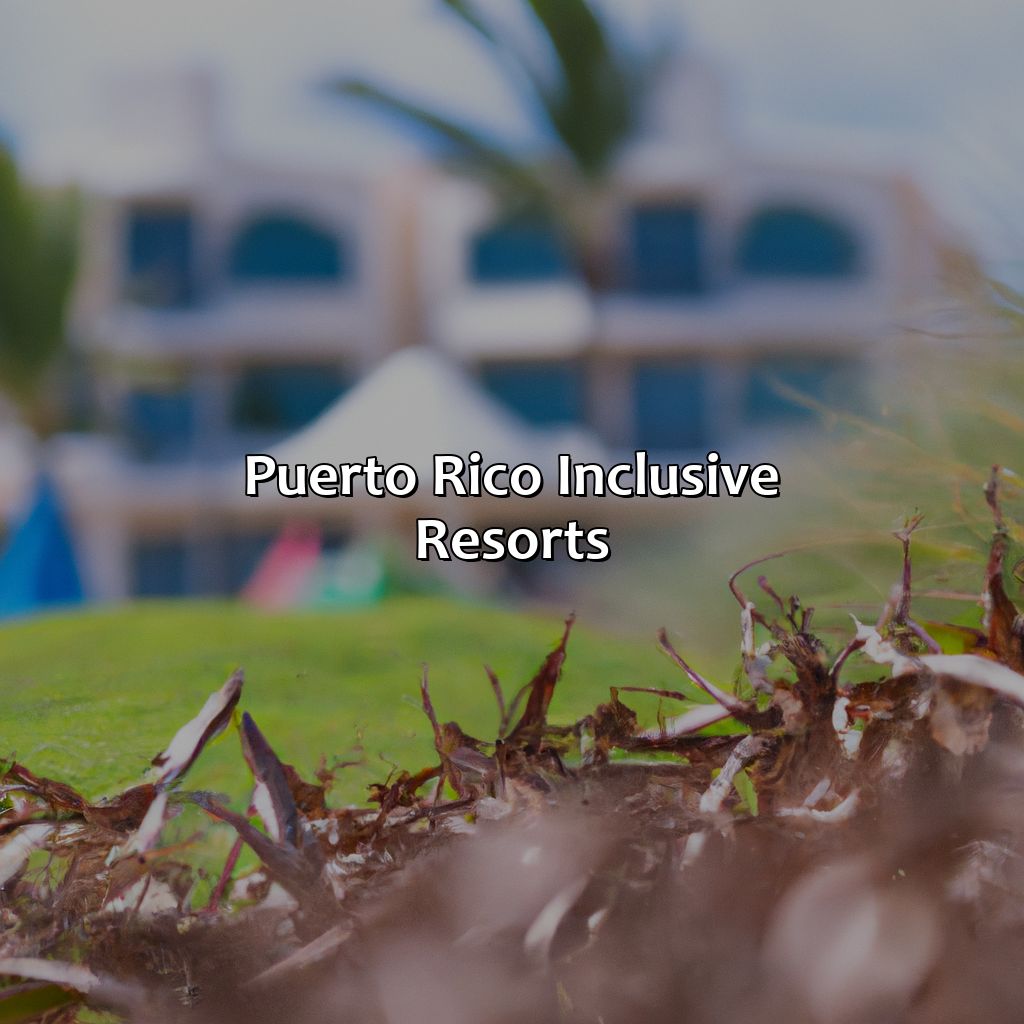 Puerto Rico Inclusive Resorts