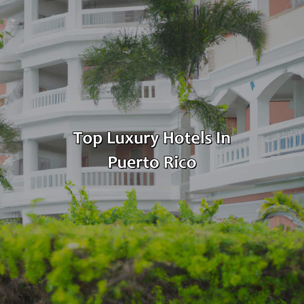 Top Luxury Hotels in Puerto Rico-puerto rico luxury hotel, 