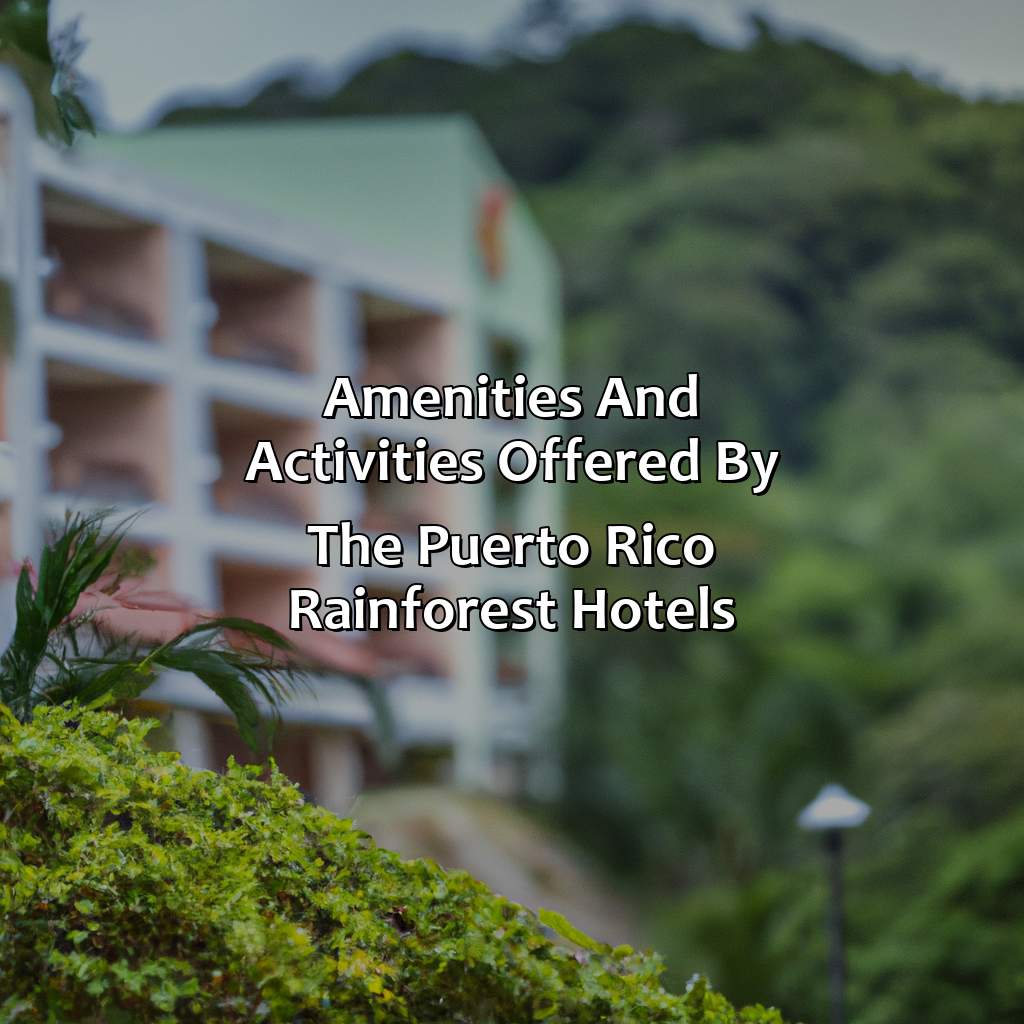 Amenities and Activities offered by the Puerto Rico Rainforest Hotels-puerto rico rain forest hotels, 