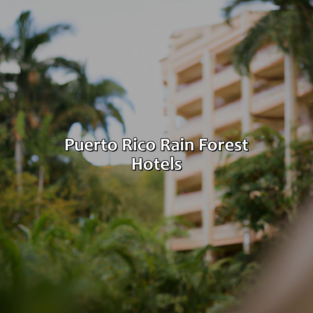 Puerto Rico Rain Forest Hotels