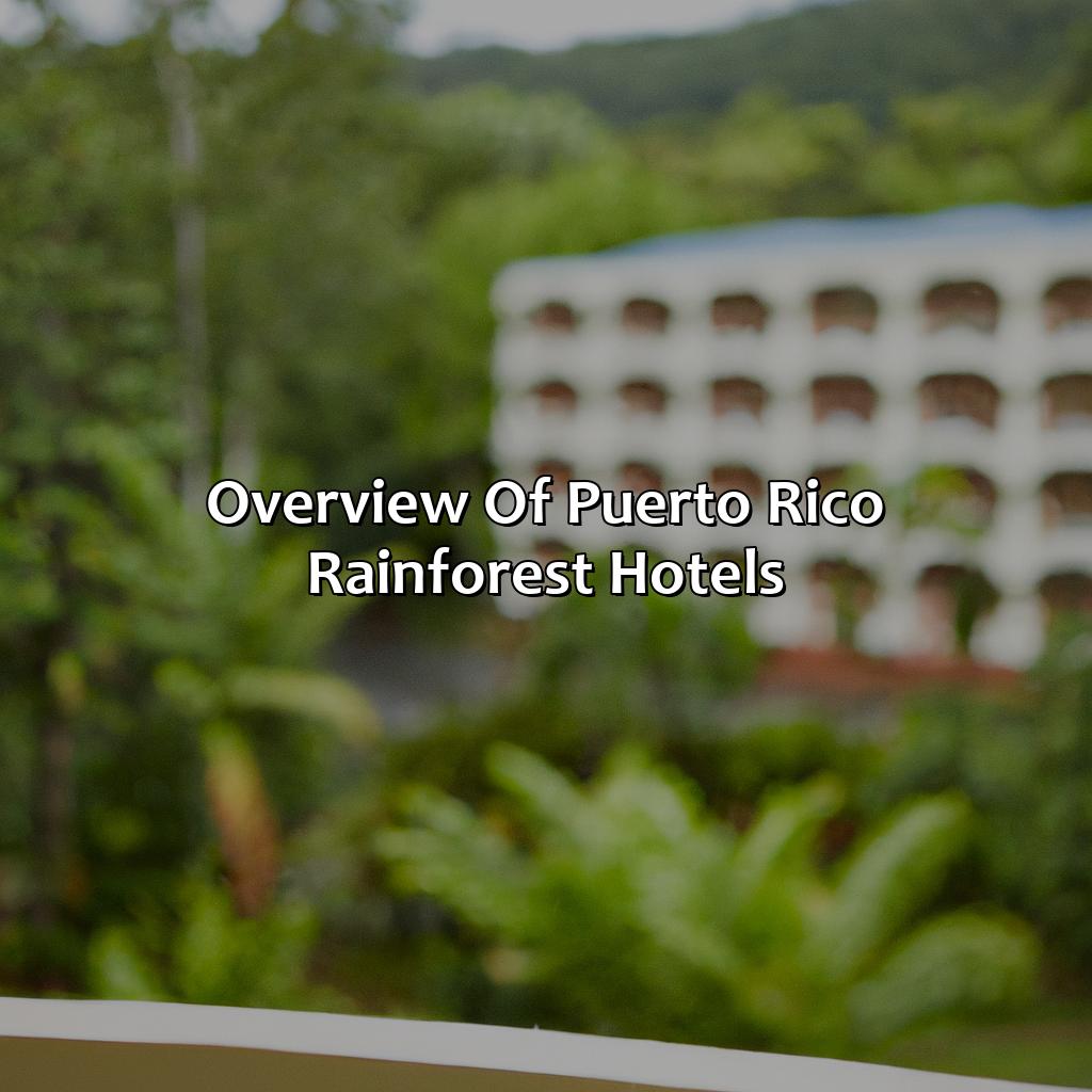 Overview of Puerto Rico Rainforest Hotels-puerto rico rain forest hotels, 