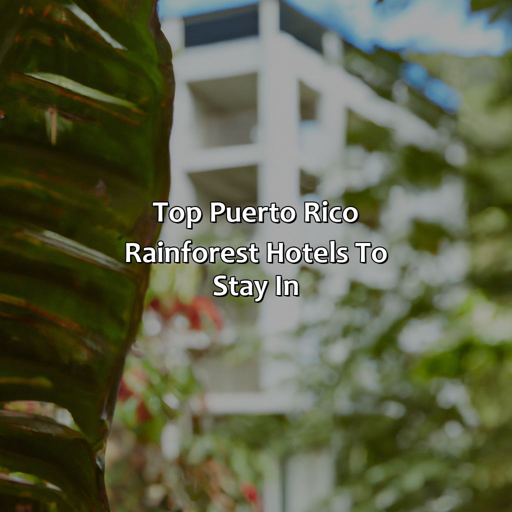 Top Puerto Rico Rainforest hotels to stay in-puerto rico rain forest hotels, 