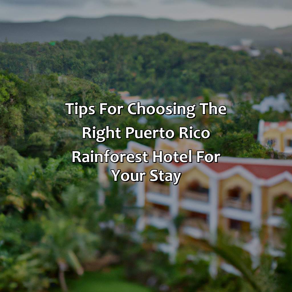 Tips for choosing the right Puerto Rico Rainforest hotel for your stay-puerto rico rain forest hotels, 