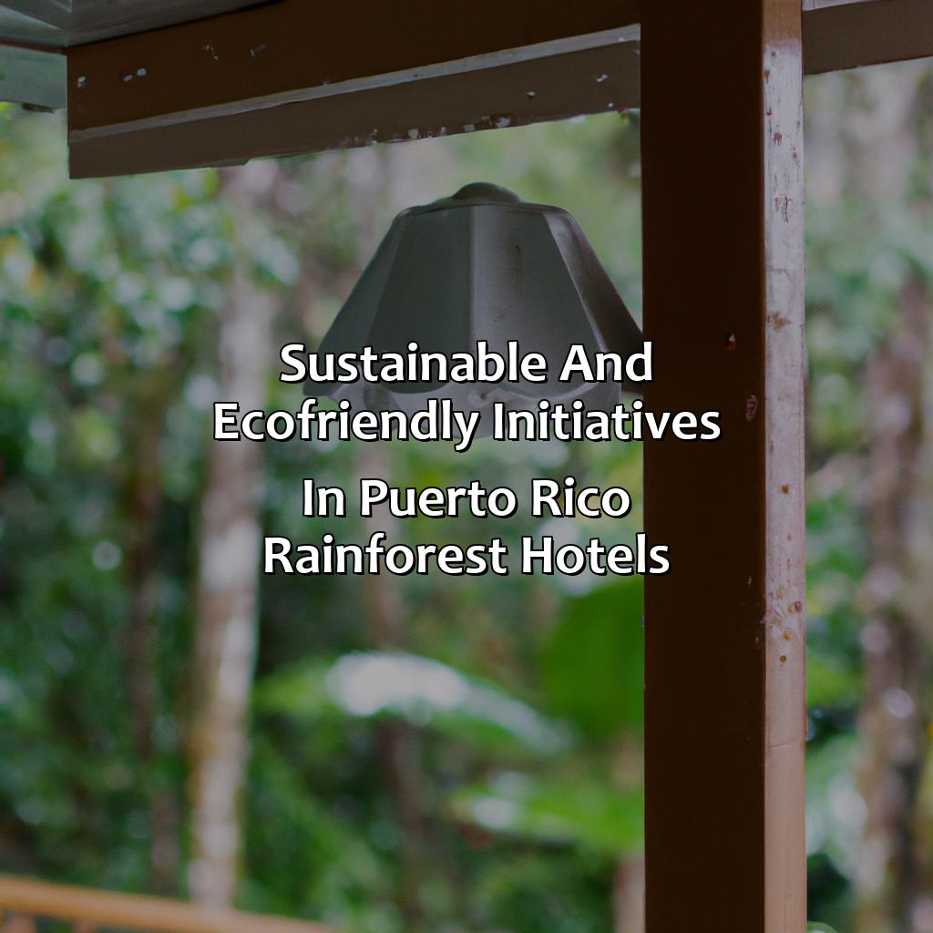 Sustainable and eco-friendly initiatives in Puerto Rico Rainforest Hotels-puerto rico rainforest hotels, 