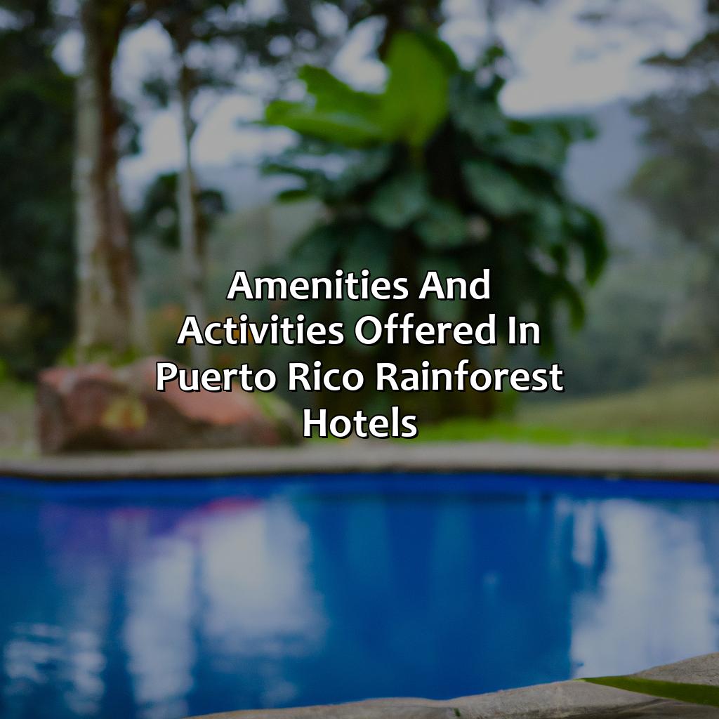 Amenities and activities offered in Puerto Rico Rainforest Hotels-puerto rico rainforest hotels, 