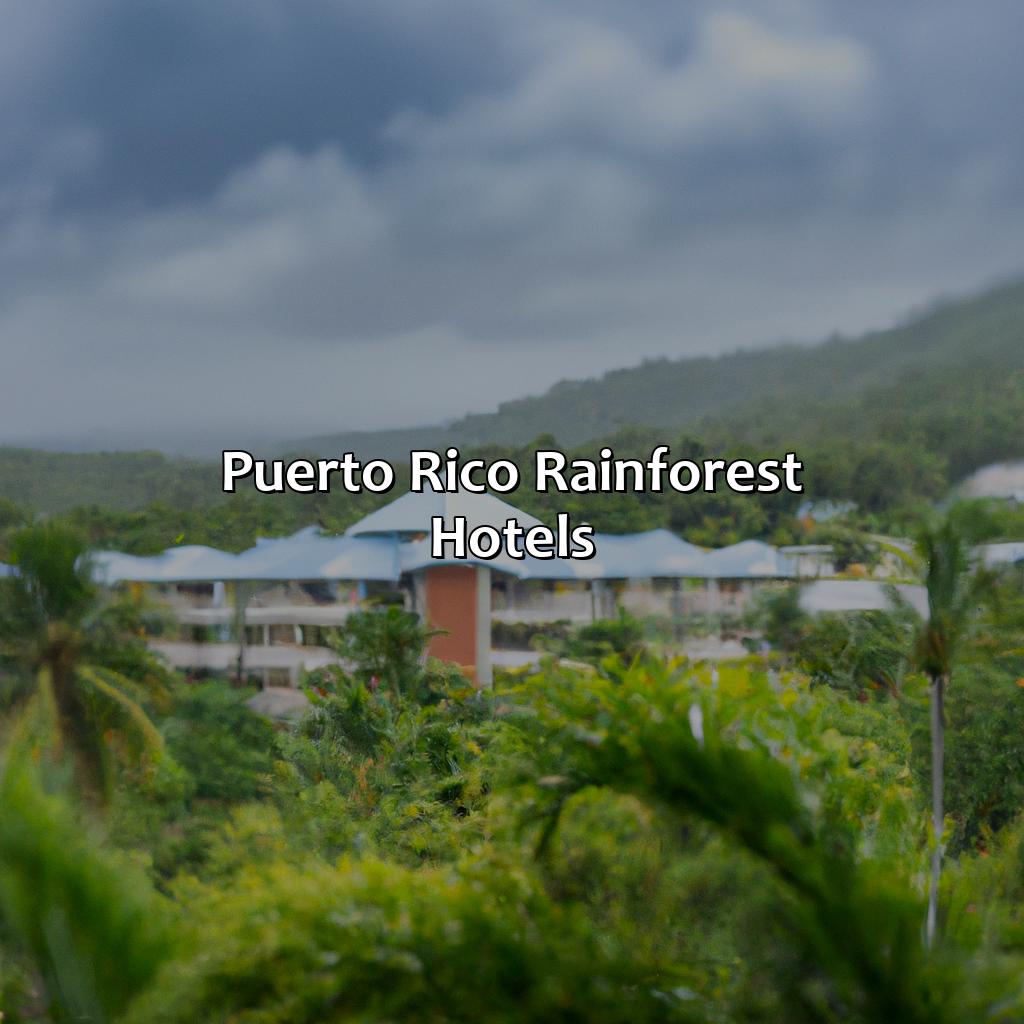 Puerto Rico Rainforest Hotels