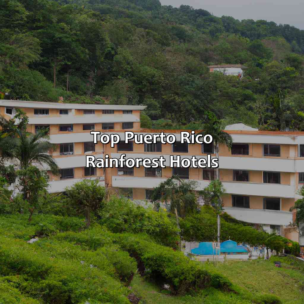Top Puerto Rico Rainforest Hotels-puerto rico rainforest hotels, 