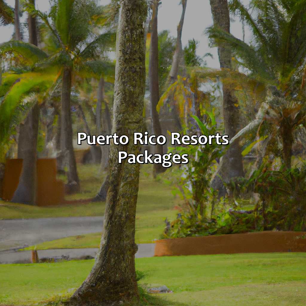 Puerto Rico Resorts Packages