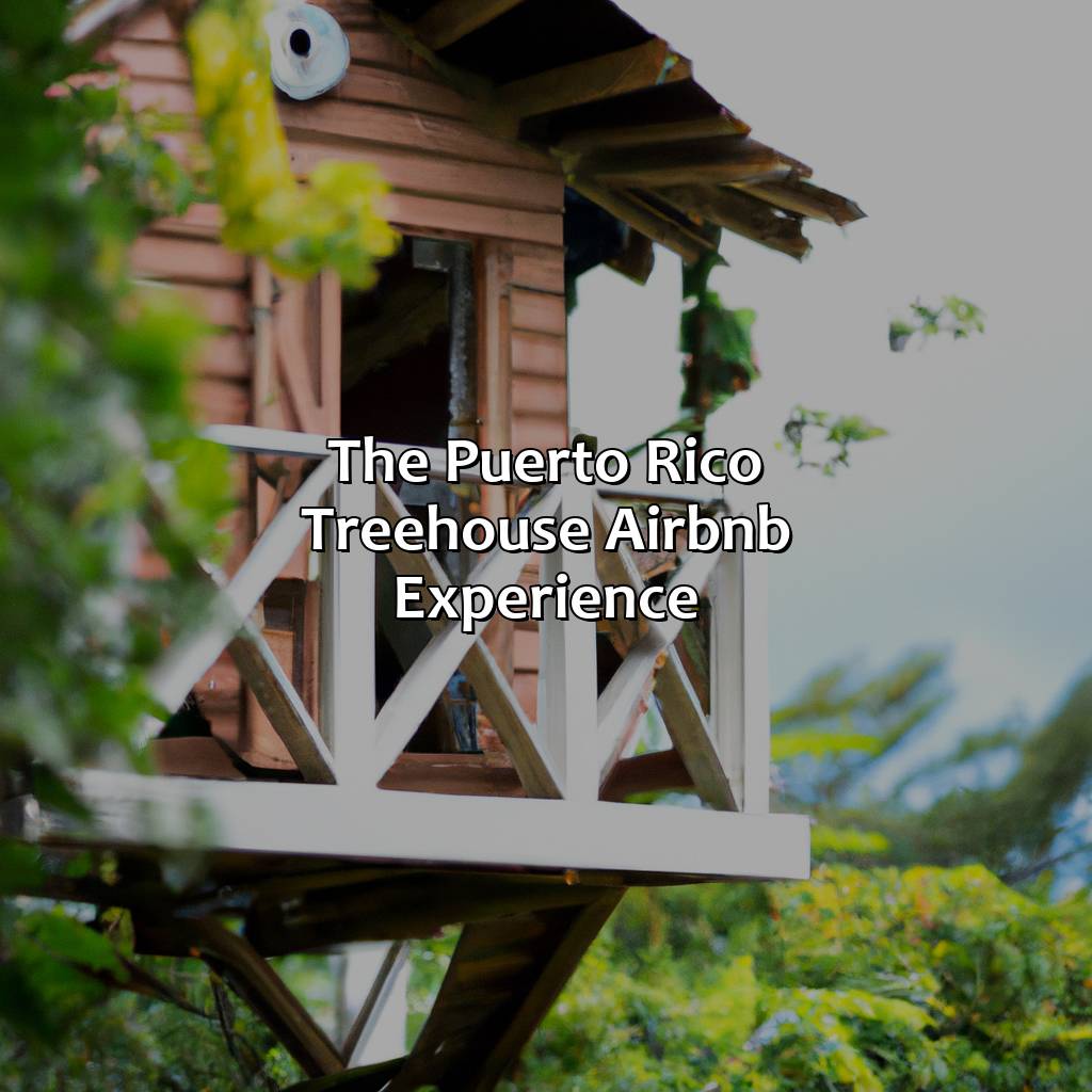 The Puerto Rico Treehouse Airbnb Experience-puerto rico treehouse airbnb, 