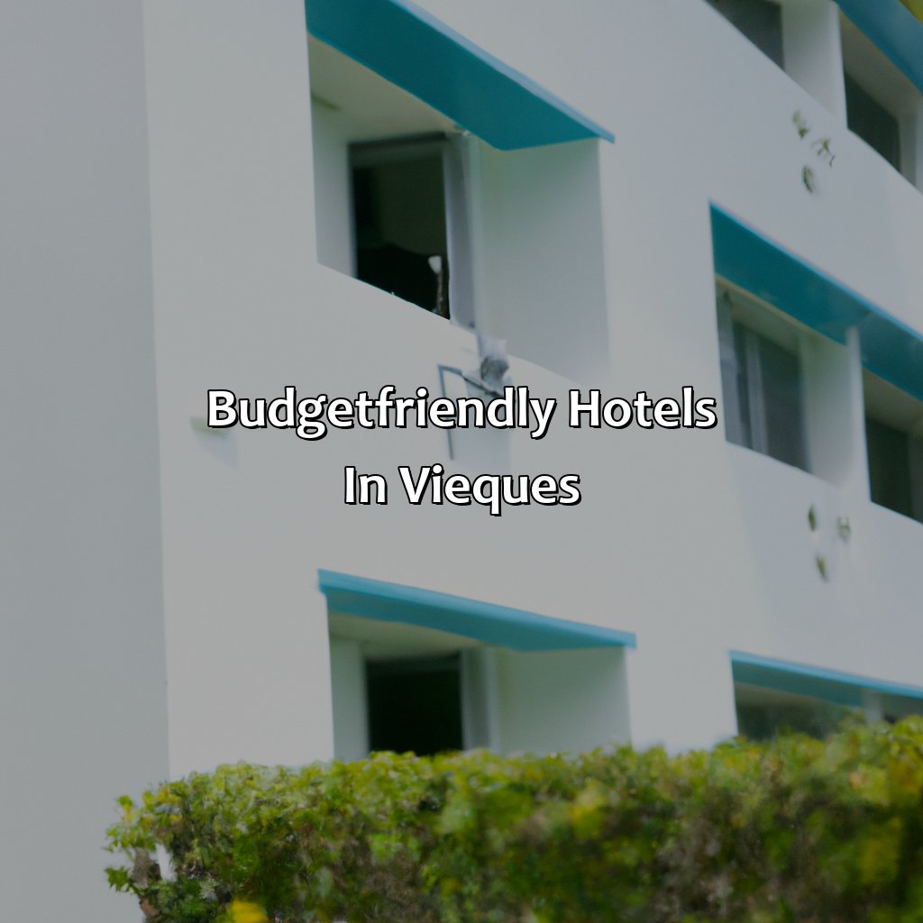 Budget-friendly hotels in Vieques-puerto rico vieques hotels, 