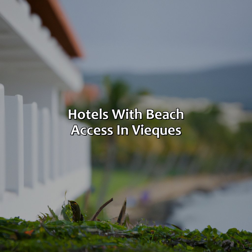 Hotels with beach access in Vieques-puerto rico vieques hotels, 