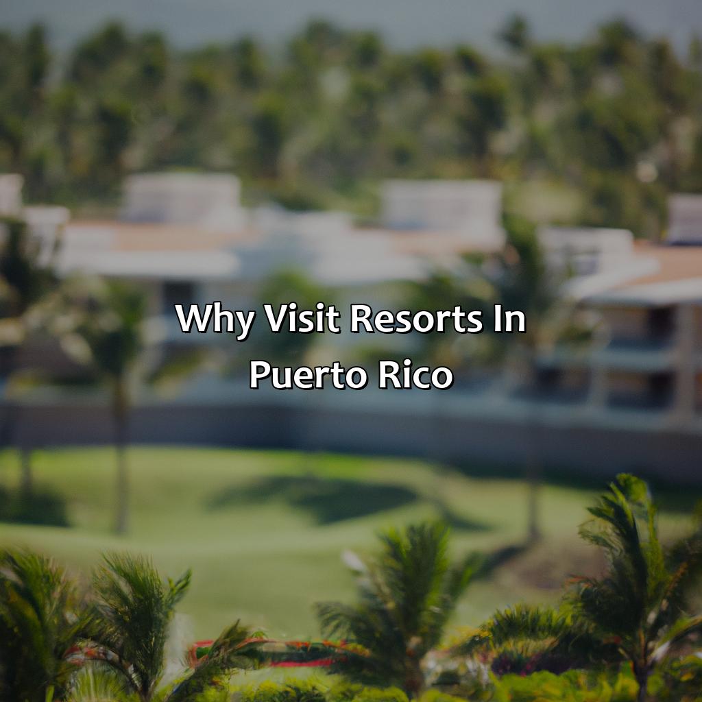 Why Visit Resorts in Puerto Rico-resorts en puerto rico, 