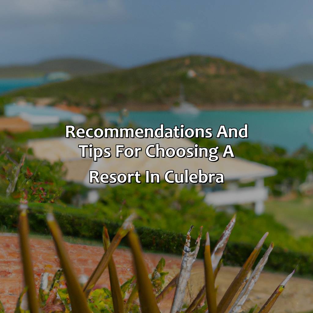 Recommendations and tips for choosing a resort in Culebra-resorts in culebra puerto rico, 