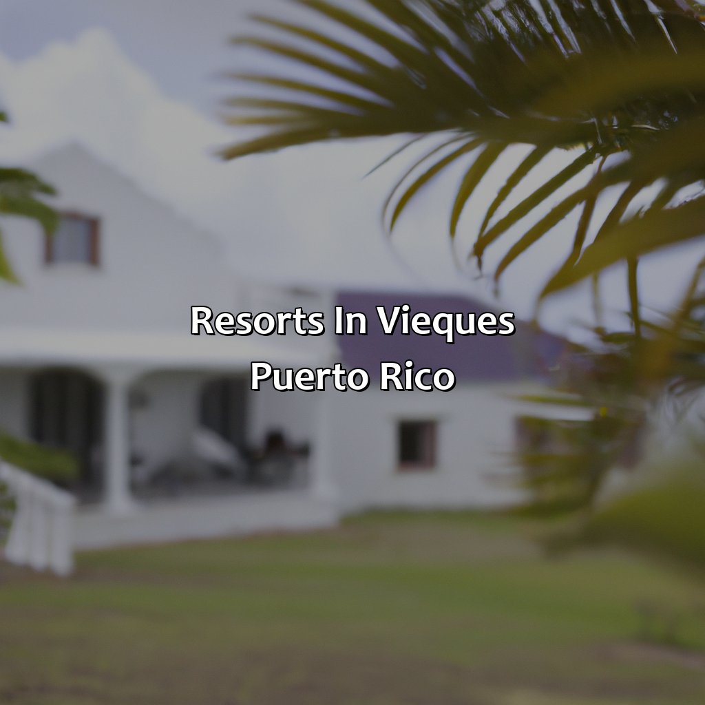 Resorts In Vieques Puerto Rico