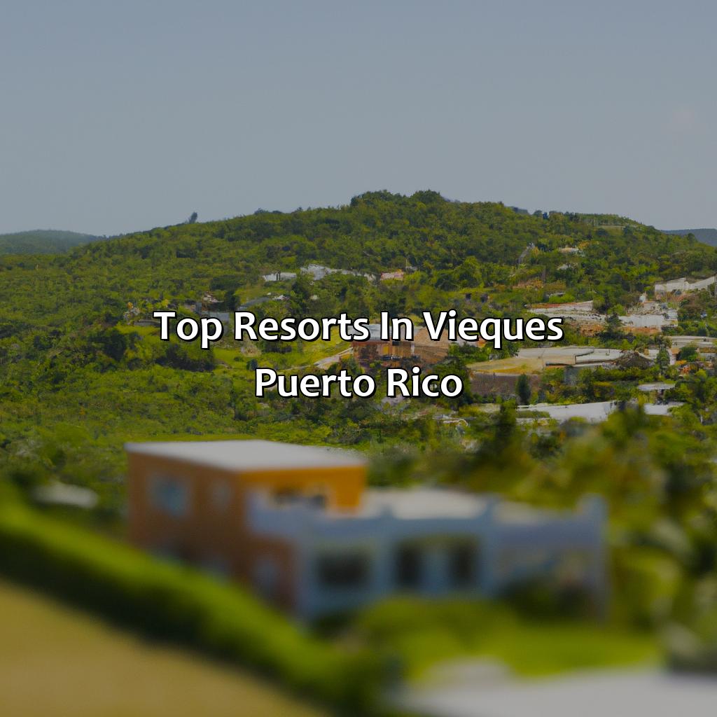Top resorts in Vieques, Puerto Rico-resorts in vieques puerto rico, 