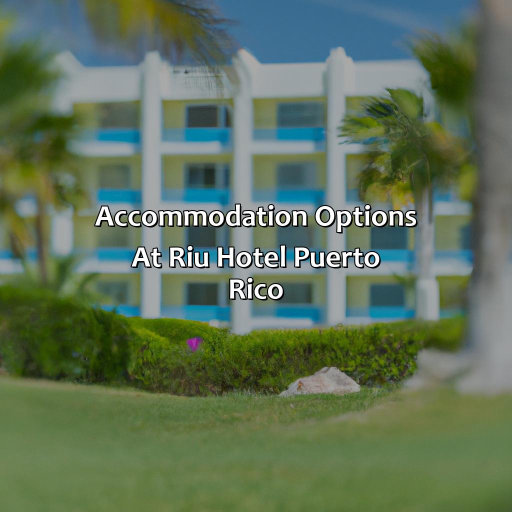 Accommodation options at Riu Hotel Puerto Rico-riu hotel puerto rico, 