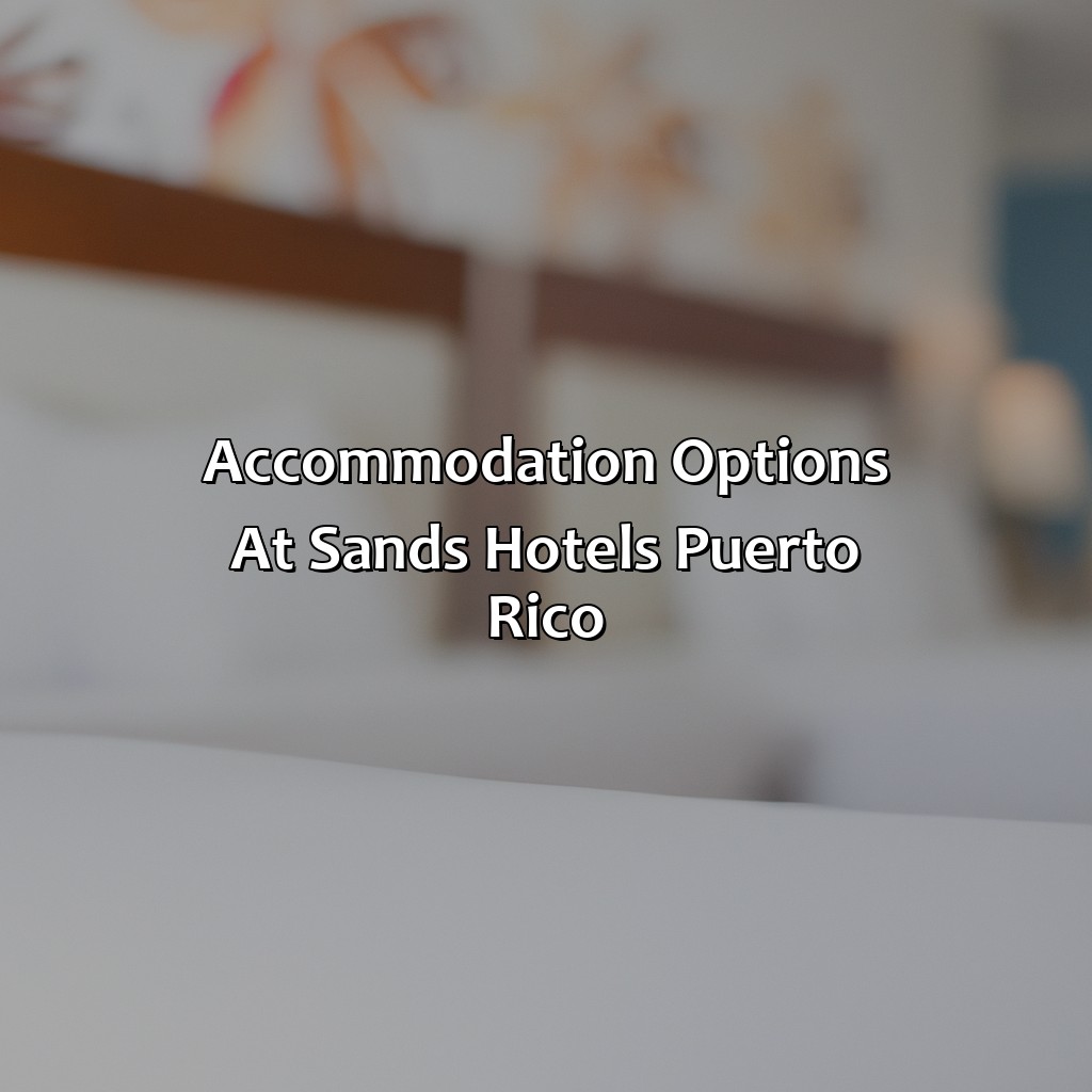 Accommodation Options at Sands Hotels Puerto Rico-sands hotels puerto rico, 