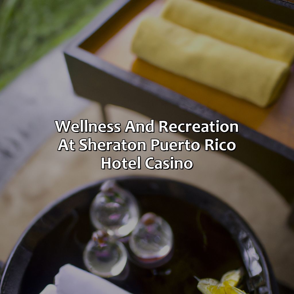 Wellness and Recreation at Sheraton Puerto Rico Hotel Casino-sheraton puerto rico hotel casino, 