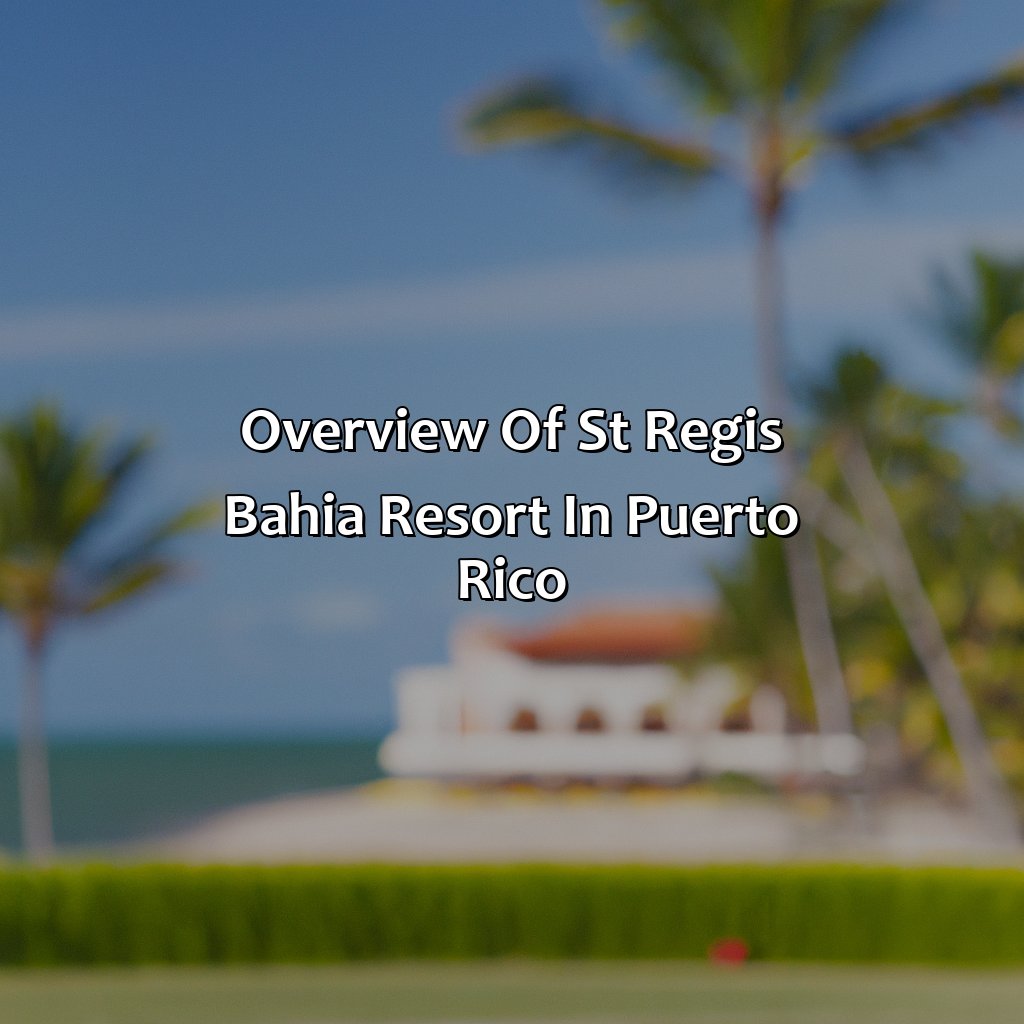 Overview of St Regis Bahia Resort in Puerto Rico-st regis bahia resort hotels puerto rico, 