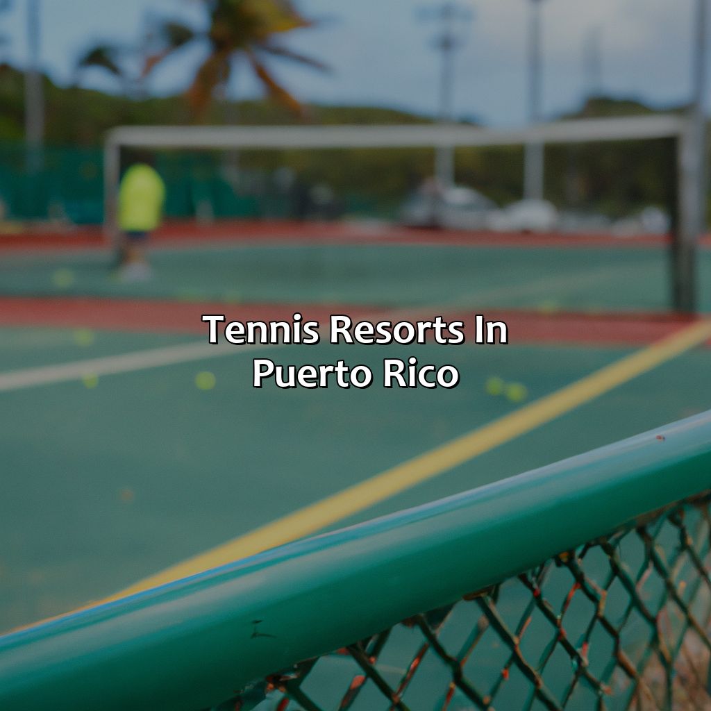 Tennis Resorts In Puerto Rico