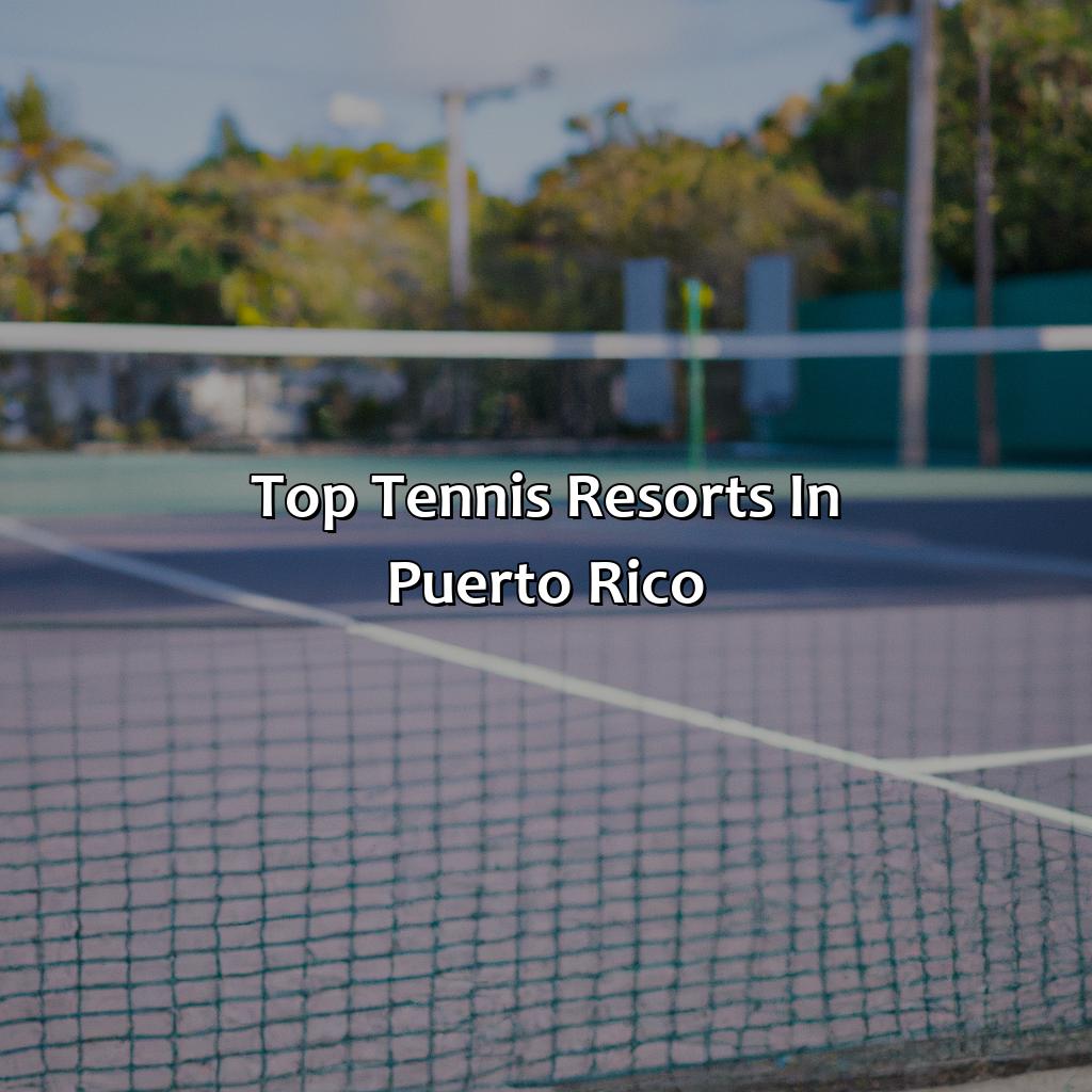 Top Tennis Resorts in Puerto Rico-tennis resorts in puerto rico, 