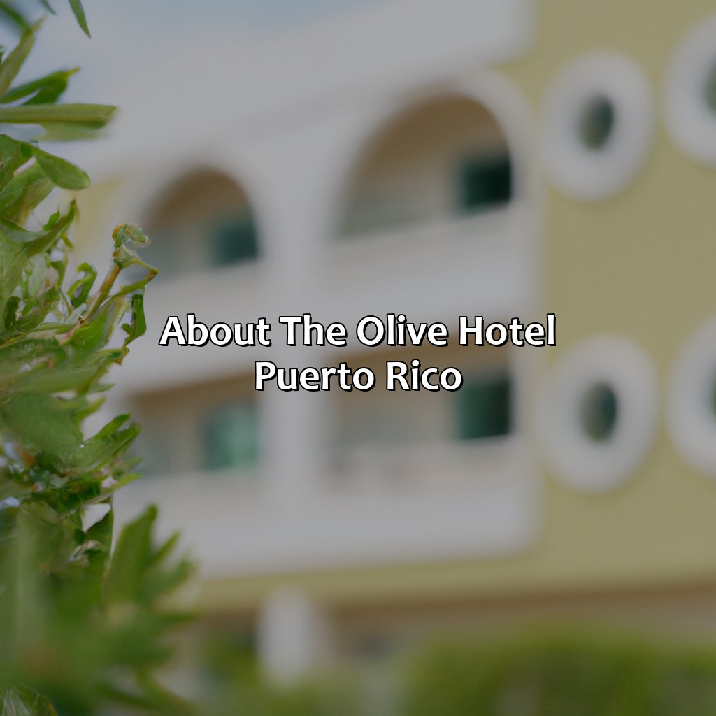 About The Olive Hotel Puerto Rico-the olive hotel puerto rico, 