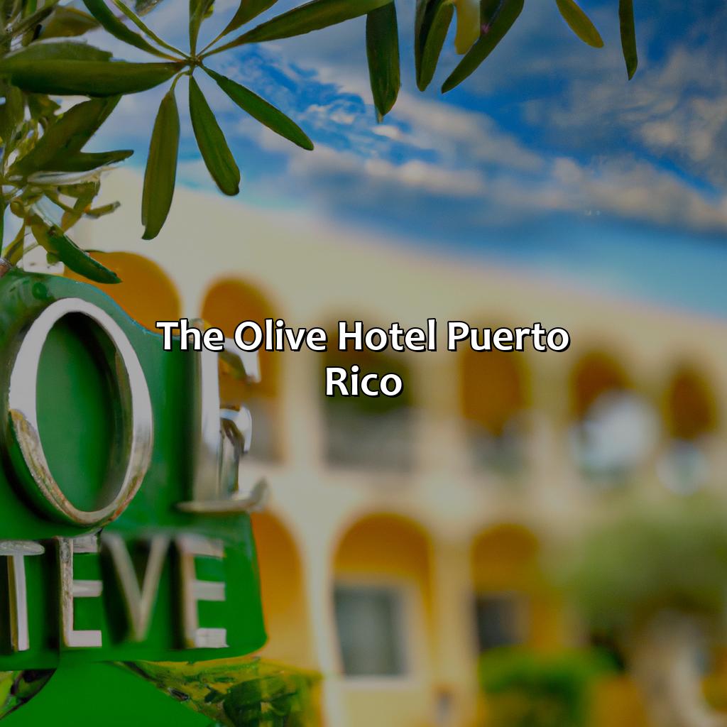 The Olive Hotel Puerto Rico