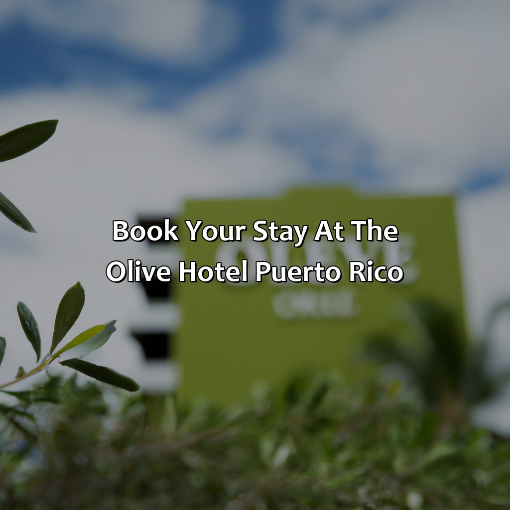 Book your stay at The Olive Hotel Puerto Rico-the olive hotel puerto rico, 