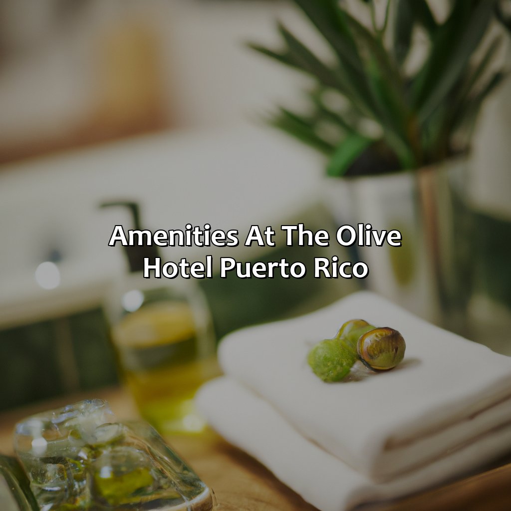 Amenities at The Olive Hotel Puerto Rico-the olive hotel puerto rico, 