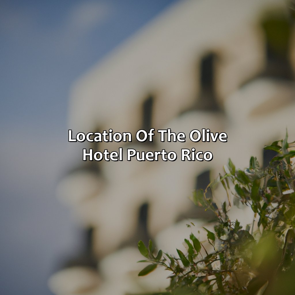 Location of The Olive Hotel Puerto Rico-the olive hotel puerto rico, 