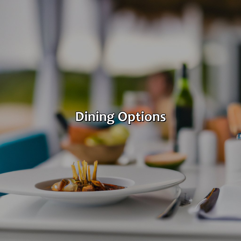 Dining Options-the+wave+hotel+vieques+puerto+rico, 