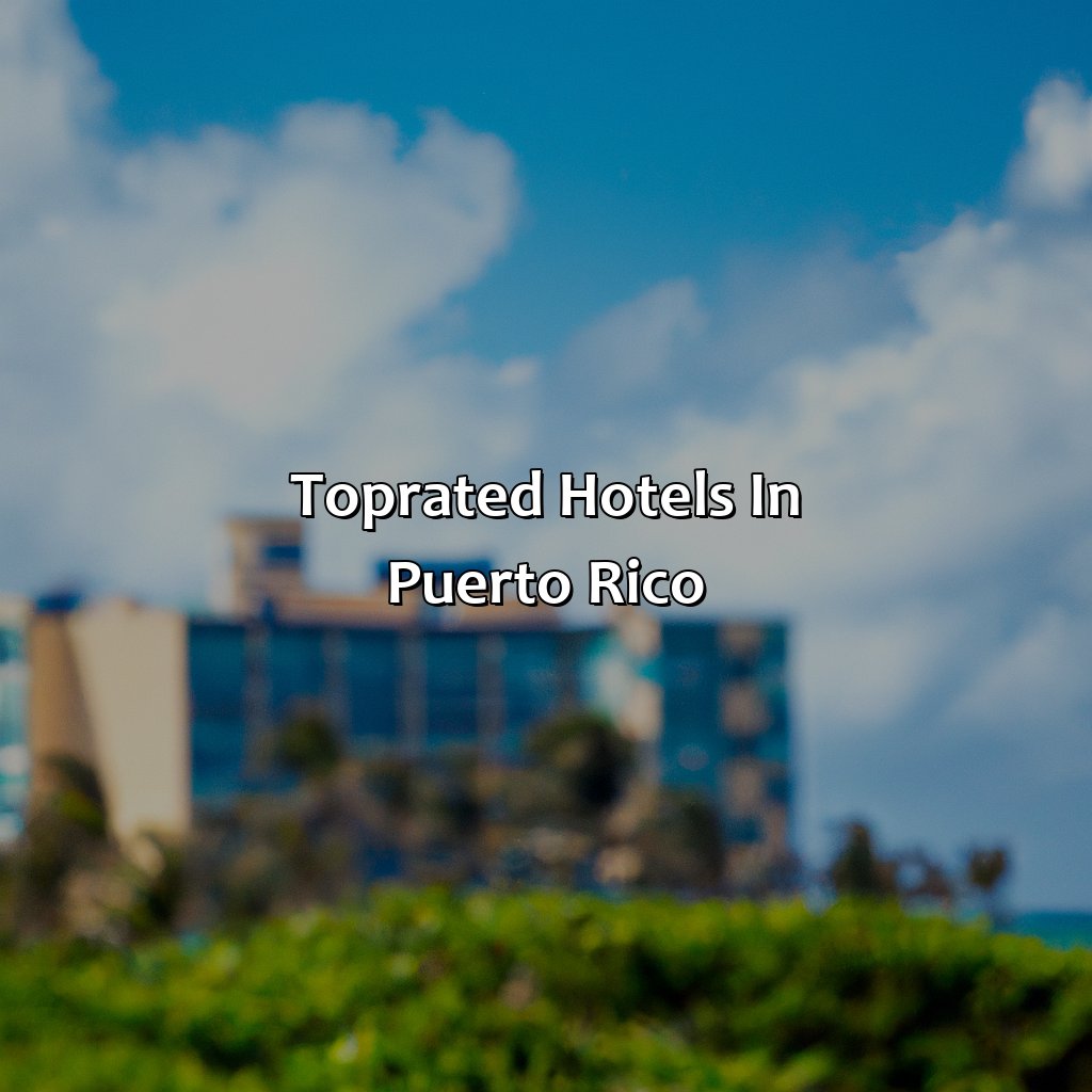 Top-rated hotels in Puerto Rico-top rated hotels in puerto rico, 