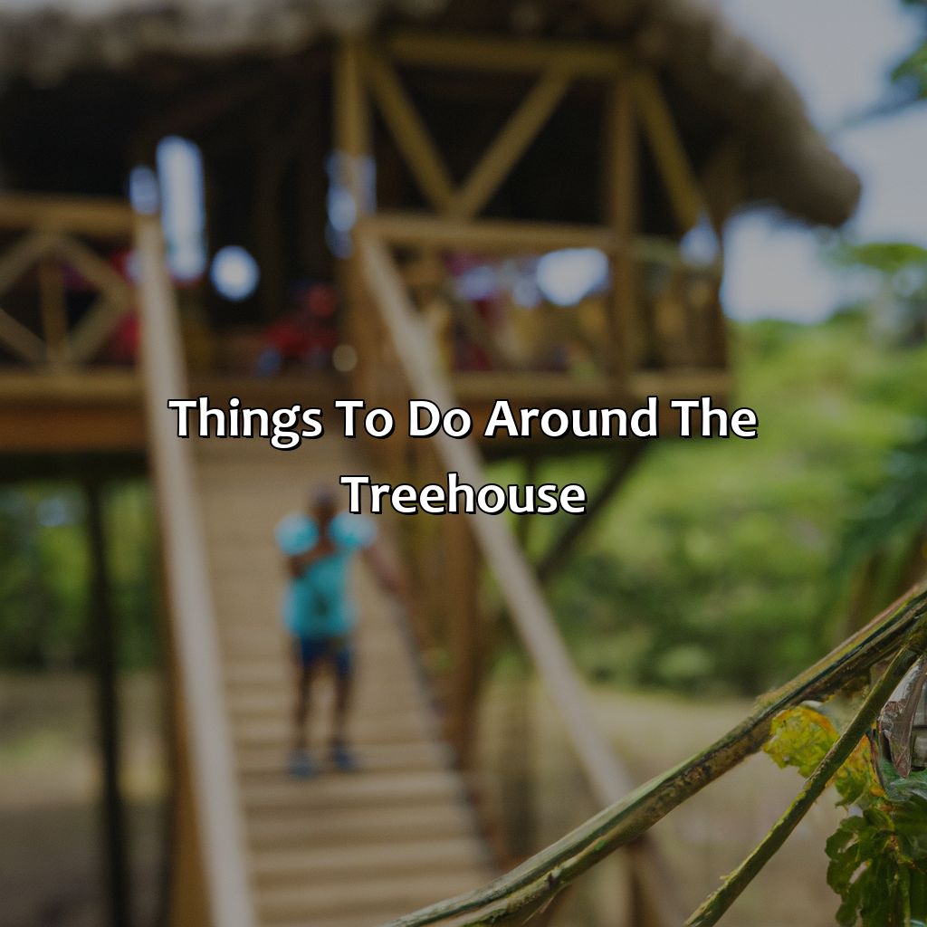 Things to Do Around the Treehouse-treehouse airbnb puerto rico, 