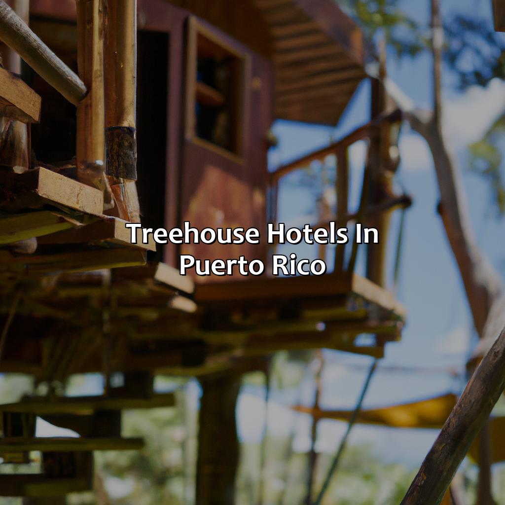 Treehouse hotels in Puerto Rico-treehouse hotels puerto rico, 