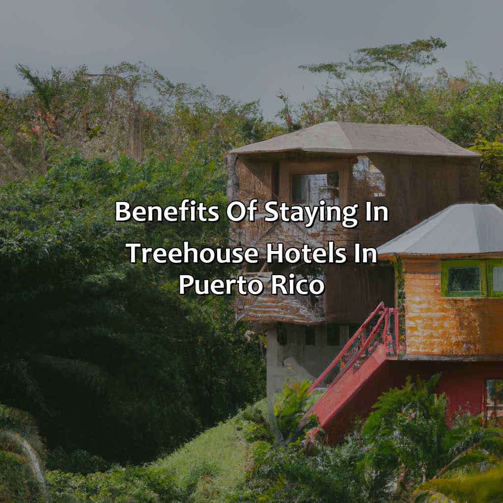 Benefits of staying in treehouse hotels in Puerto Rico-treehouse hotels puerto rico, 