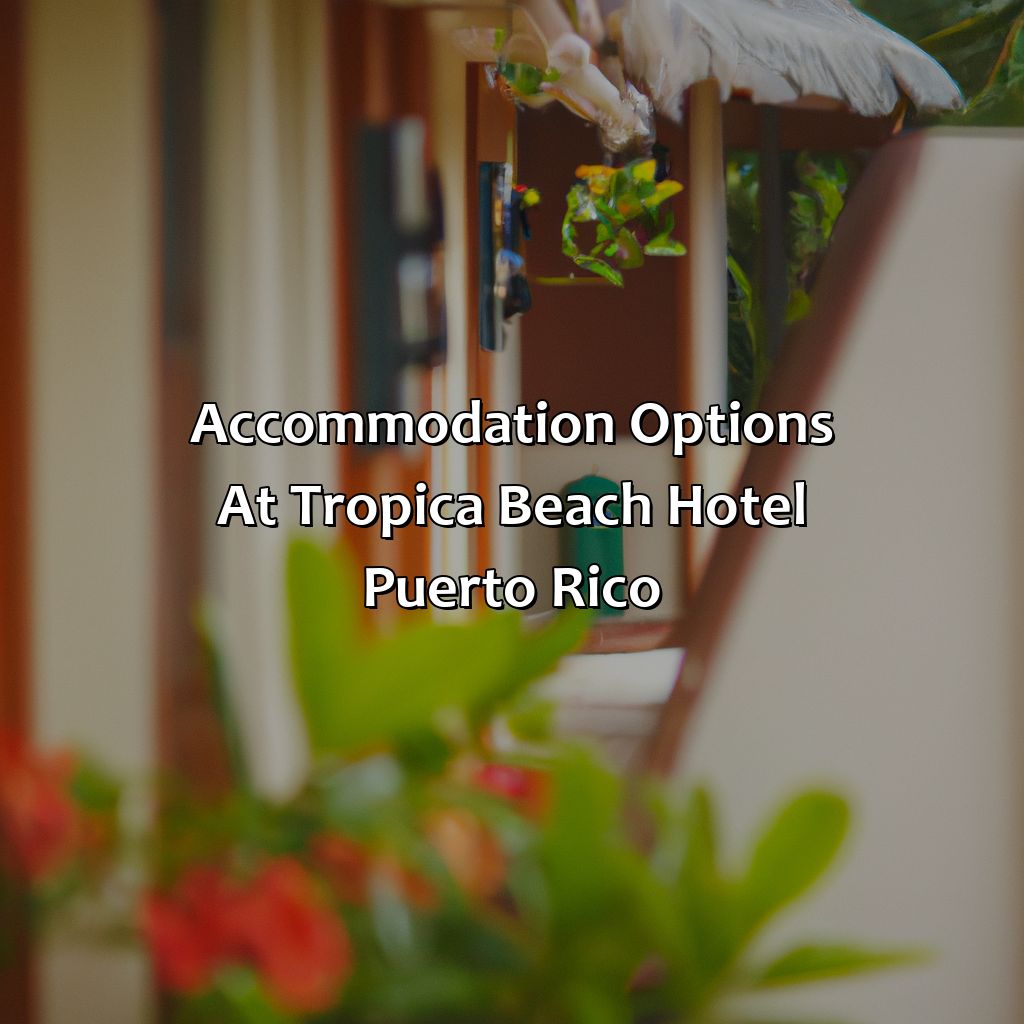 Accommodation Options at Tropica Beach Hotel Puerto Rico-tropica beach hotel puerto rico, 