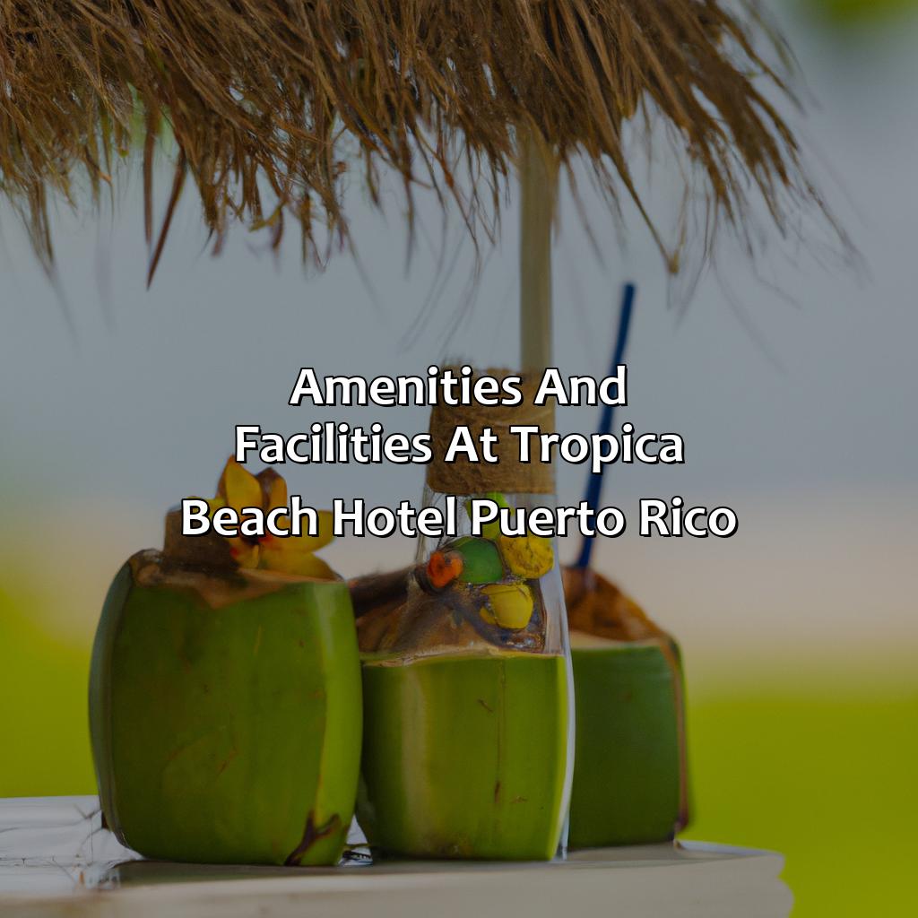 Amenities and Facilities at Tropica Beach Hotel Puerto Rico-tropica beach hotel puerto rico, 