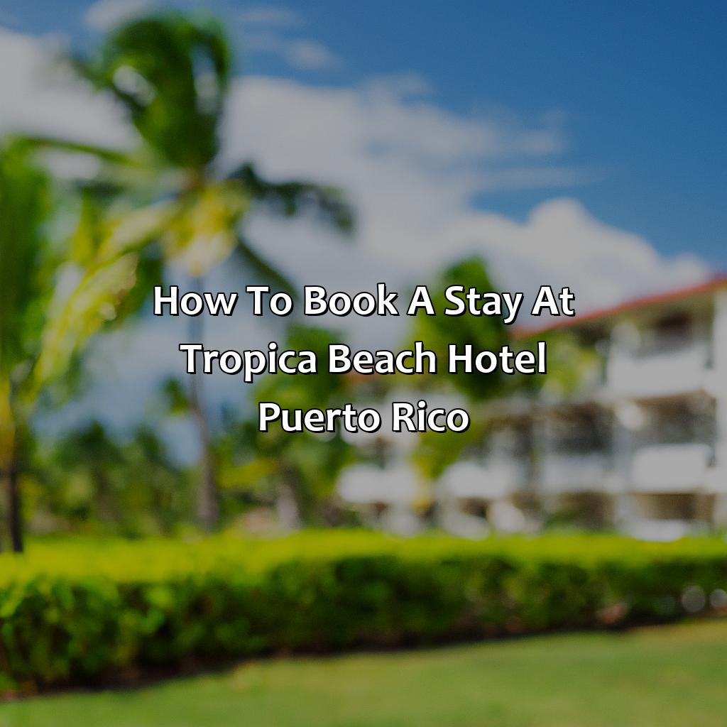 How to Book a Stay at Tropica Beach Hotel Puerto Rico-tropica beach hotel puerto rico, 