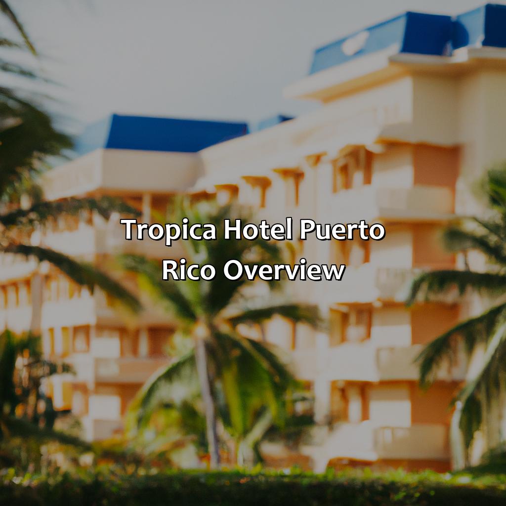 Tropica Hotel Puerto Rico Overview-tropica hotel puerto rico, 