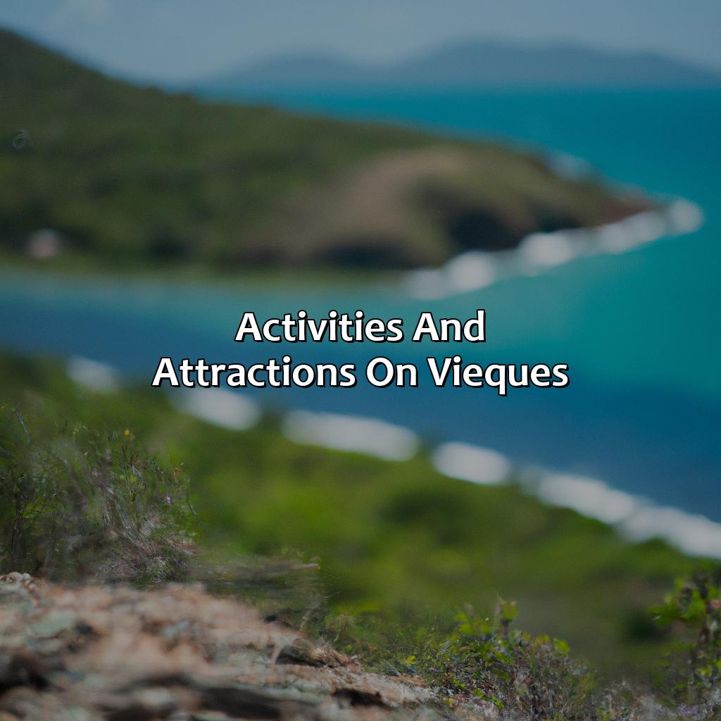 Activities and attractions on Vieques-vieques puerto rico w hotel, 